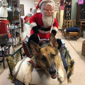 Meet your Posher, Tracy